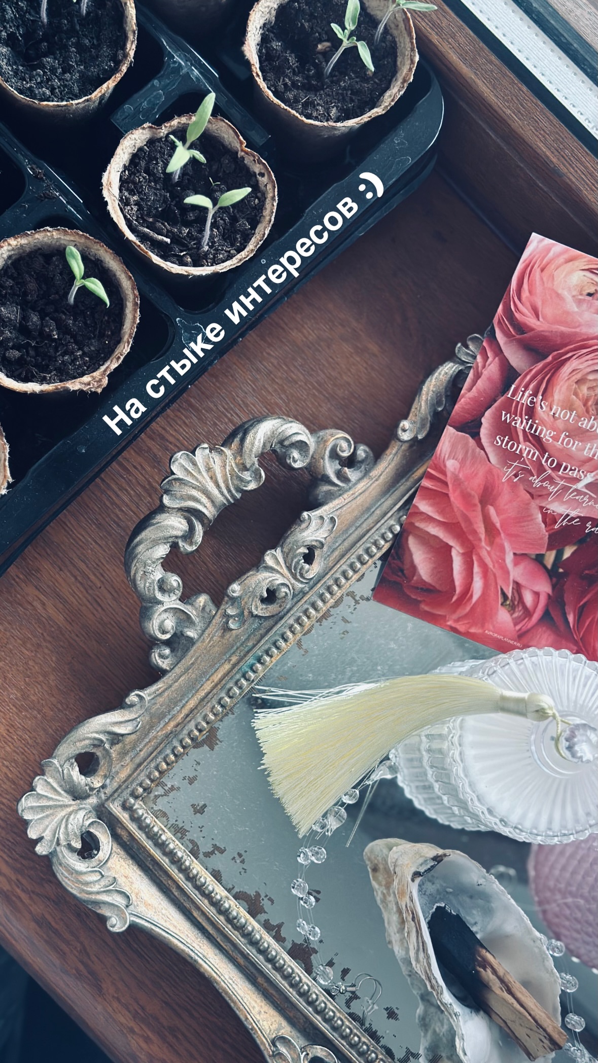 новая фото в сторис @diamond_story 09.04.2026