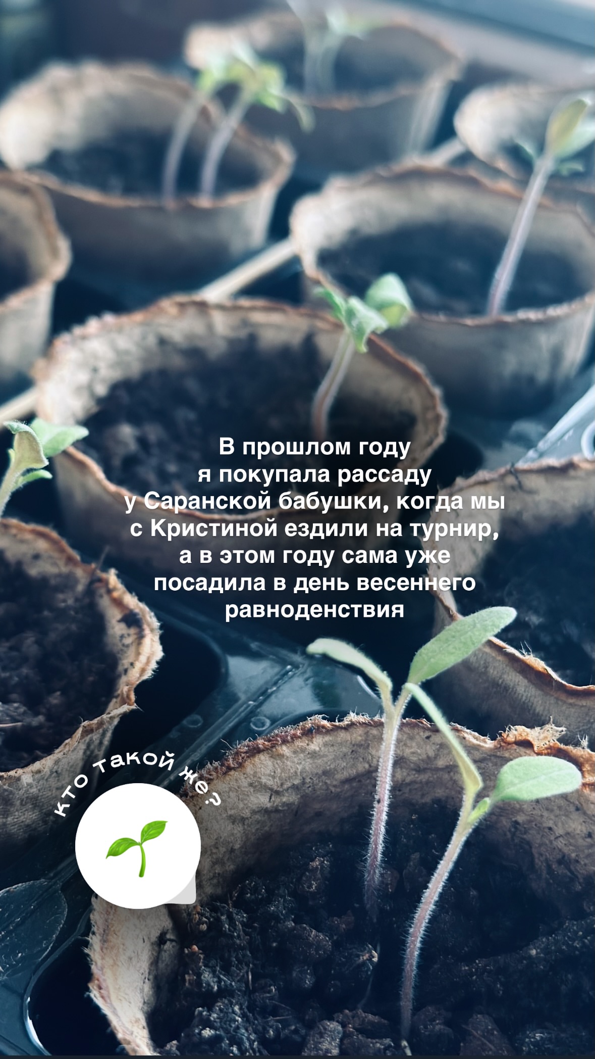 новая фото в сторис @diamond_story 09.04.2026