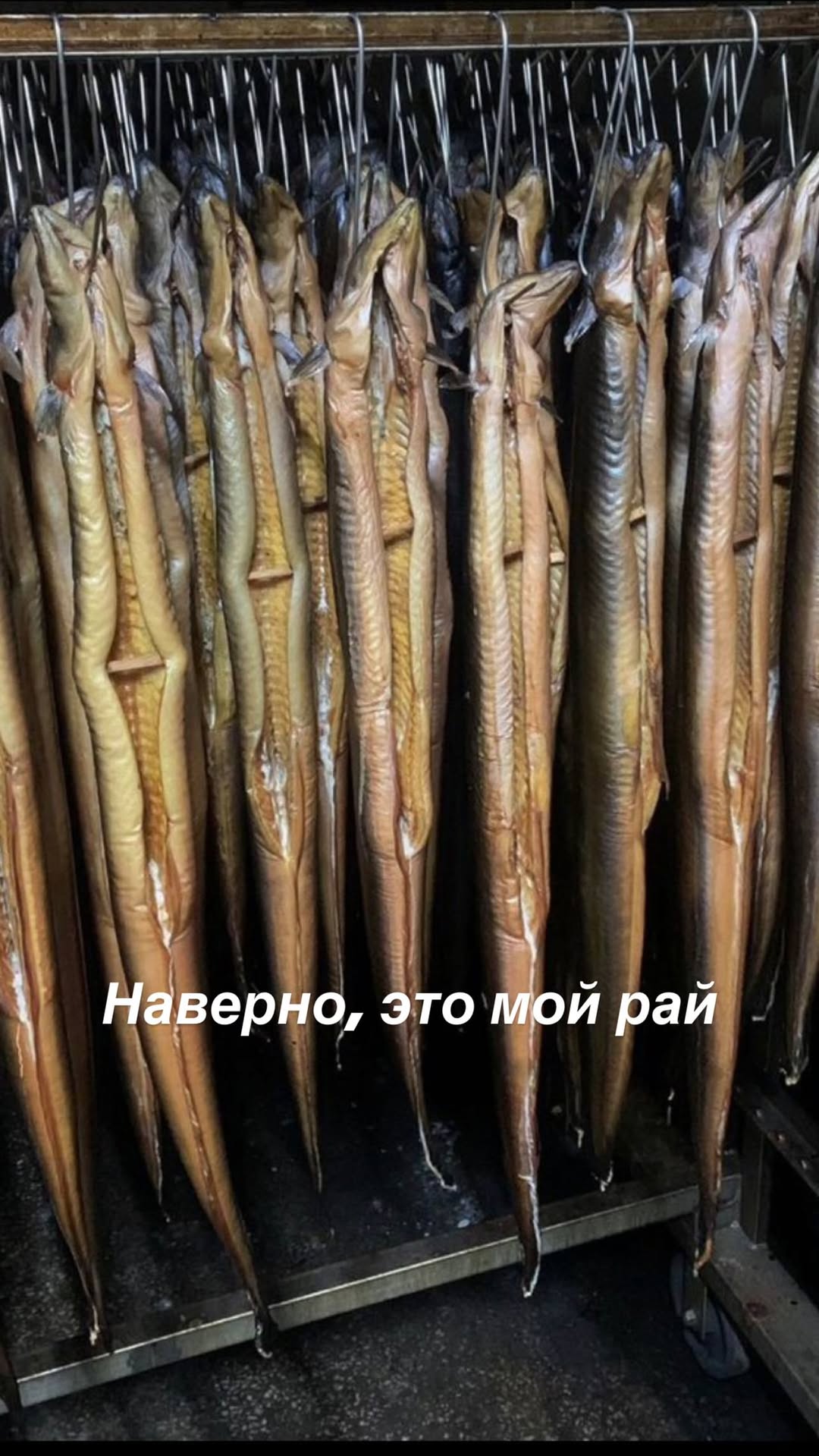 новая фото в сторис @kremlin_romance 09.04.2026