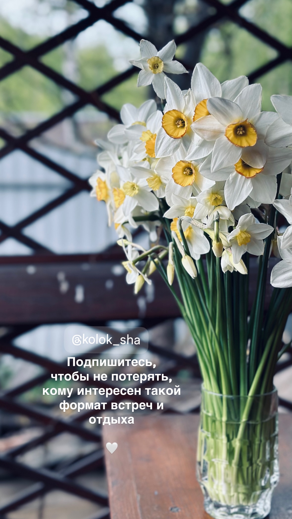 новая фото в сторис @diamond_story 09.04.2026