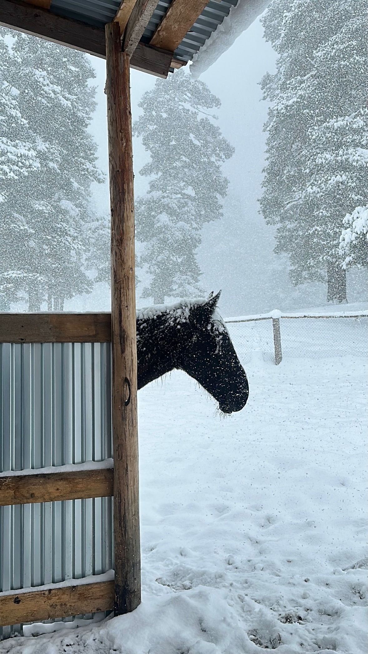 новая фото в сторис @svpogodina 10.04.2026