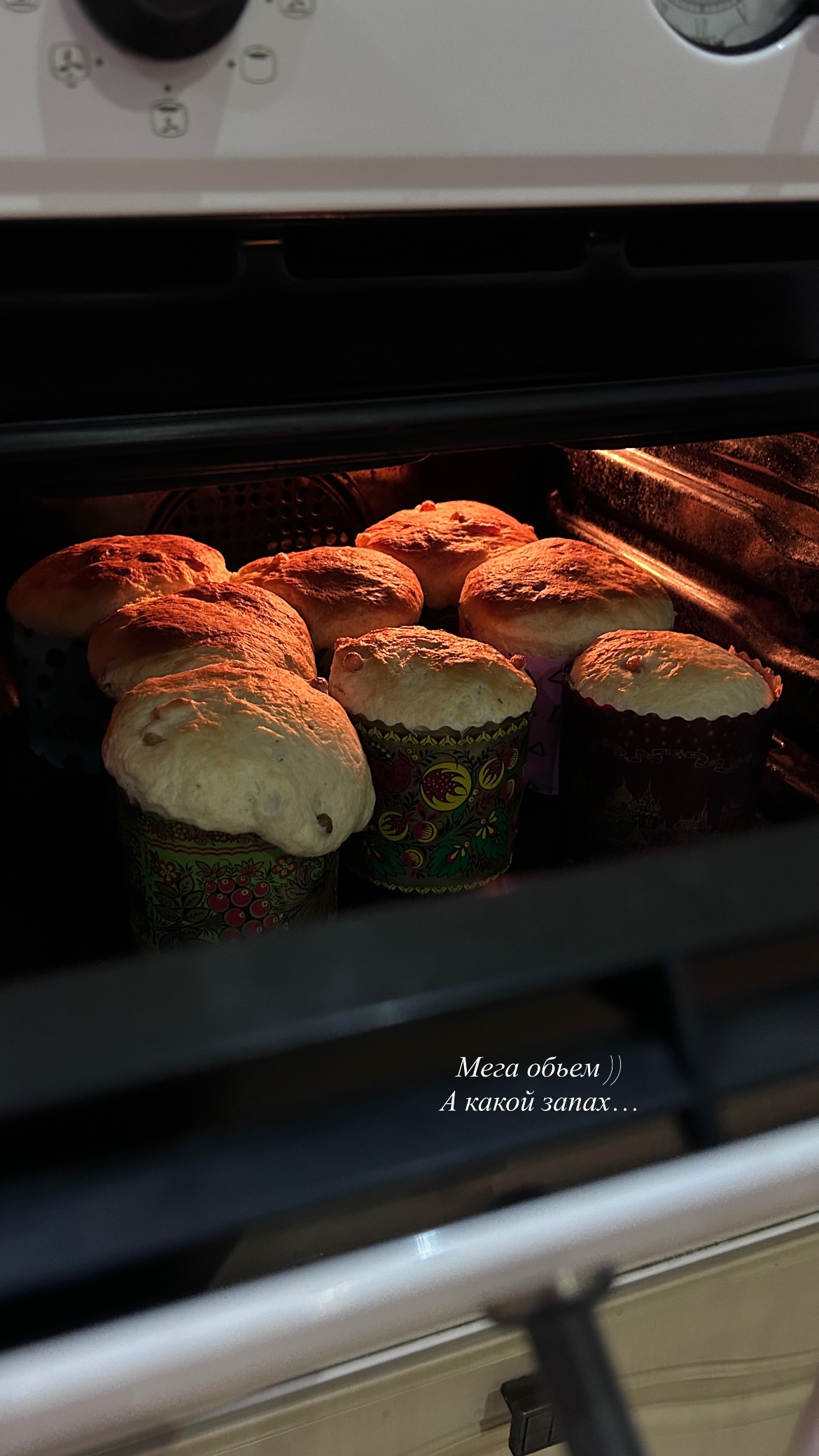 новая фото в сторис @__alasheeva__o.a.__ 11.04.2026