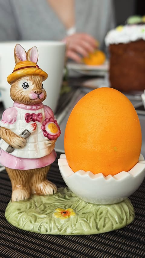 новая фото в сторис @volkovihome 13.04.2026