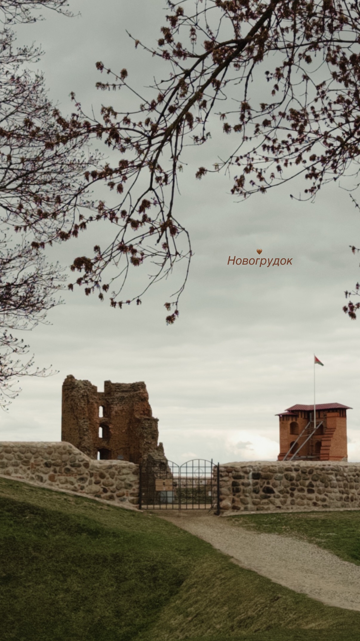 новая фото в сторис @leraa_telesh 12.04.2026