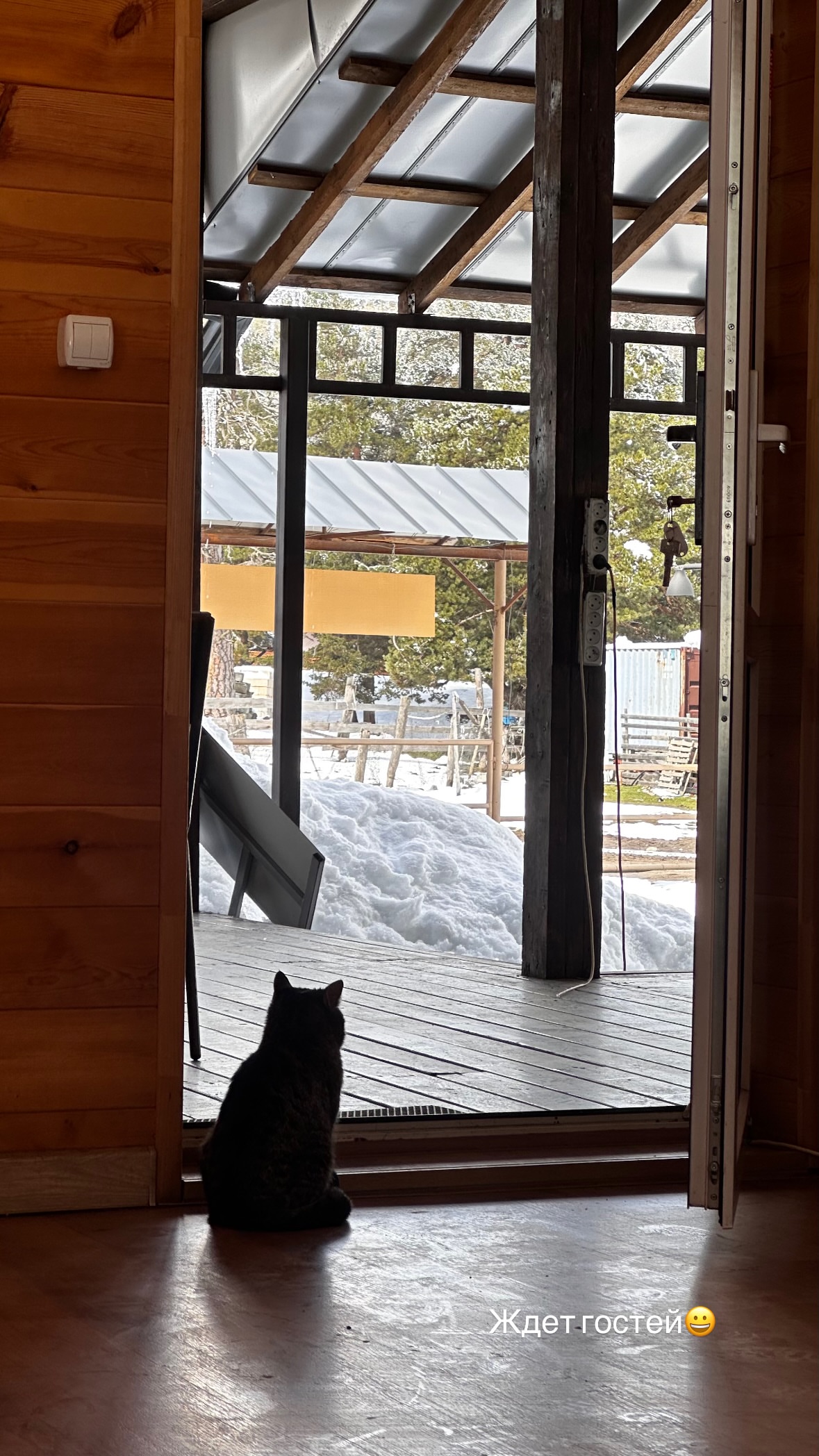 новая фото в сторис @svpogodina 16.04.2026