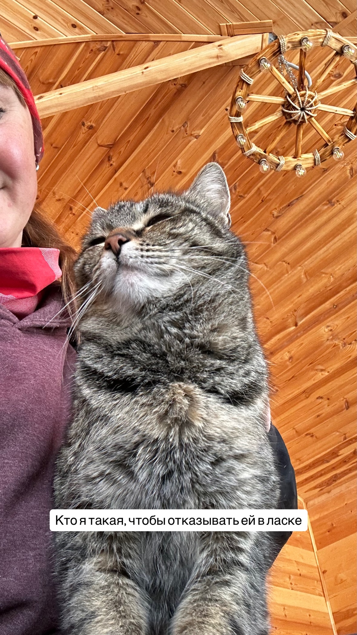 новая фото в сторис @svpogodina 16.04.2026