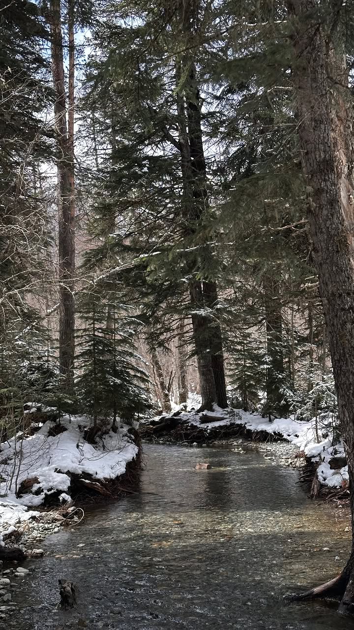 новая фото в сторис @svpogodina 18.04.2026