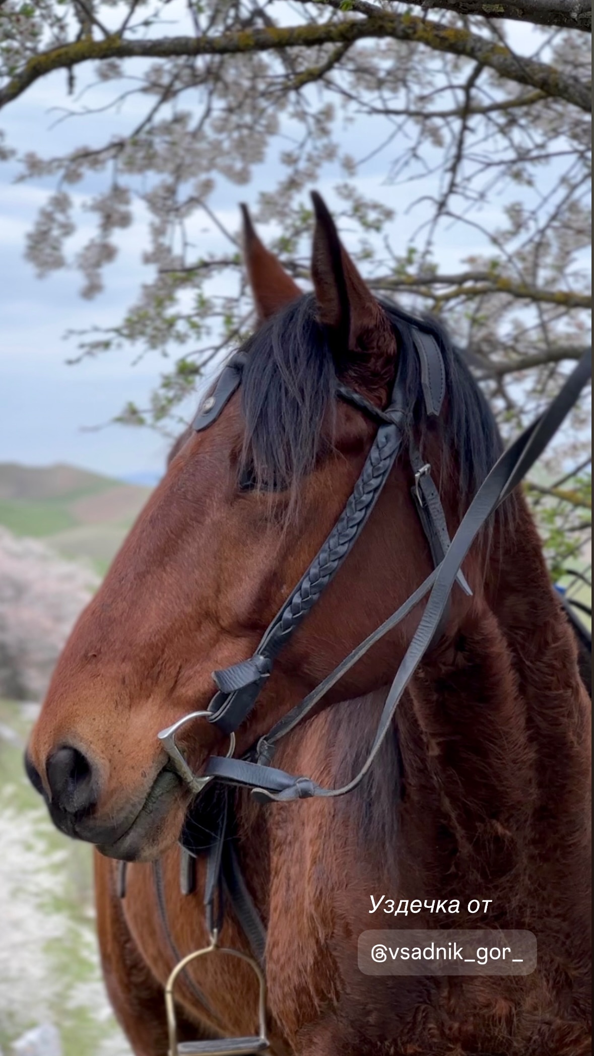 новая фото в сторис @svpogodina 19.04.2026