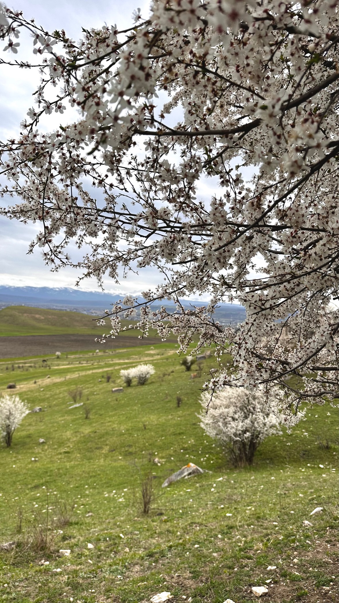 новая фото в сторис @svpogodina 19.04.2026