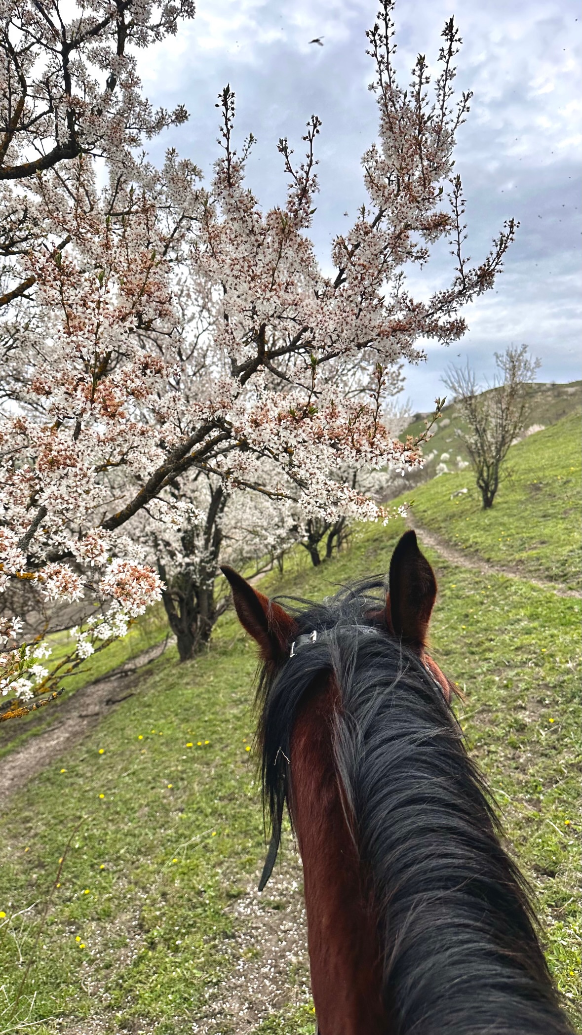 новая фото в сторис @svpogodina 19.04.2026