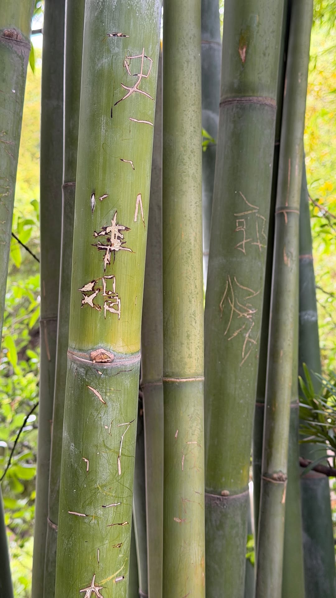 новая фото в сторис @stasyalyalya 22.04.2026