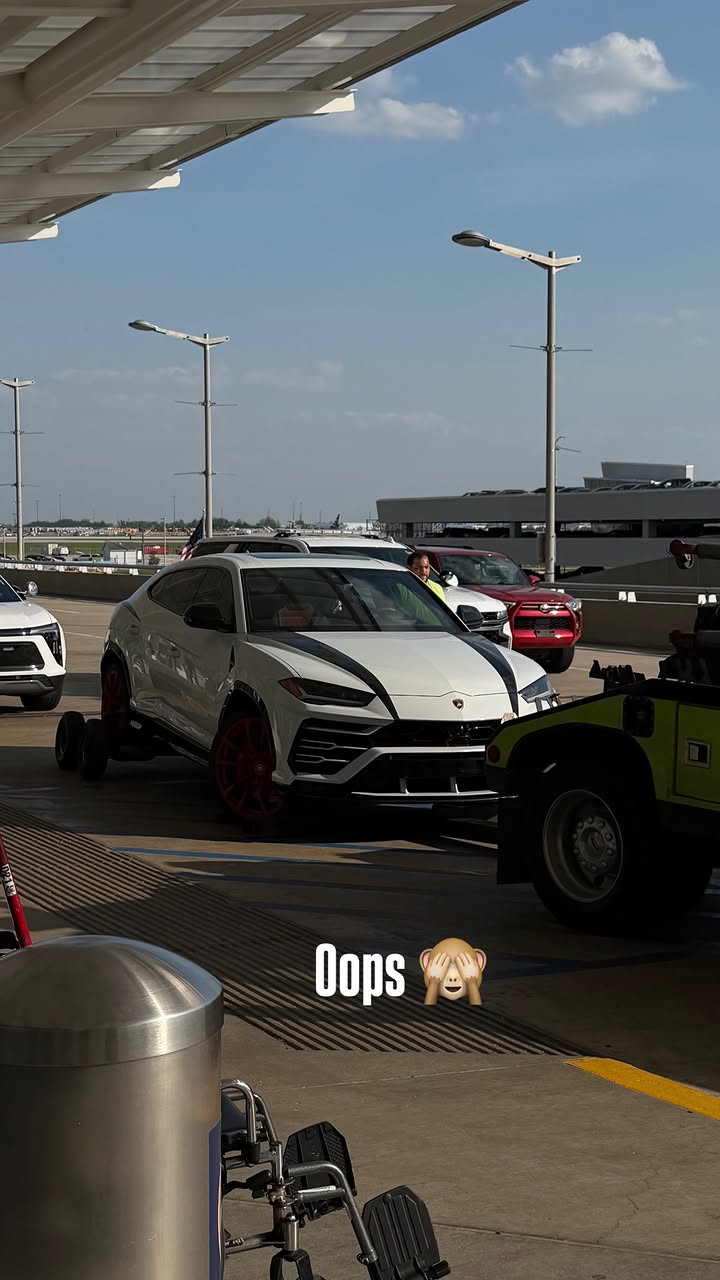 новая фото в сторис @aleksandr_pustovoit 24.04.2026