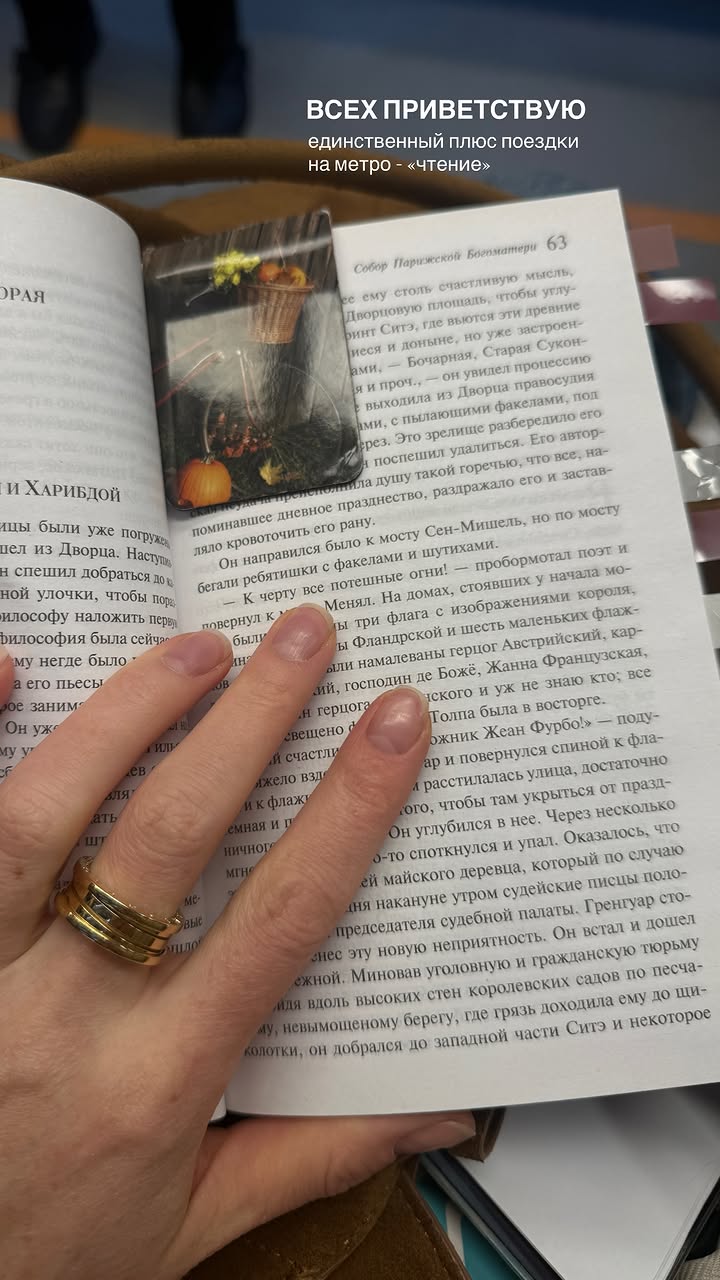 новая фото в сторис @doctorbagova 24.04.2026