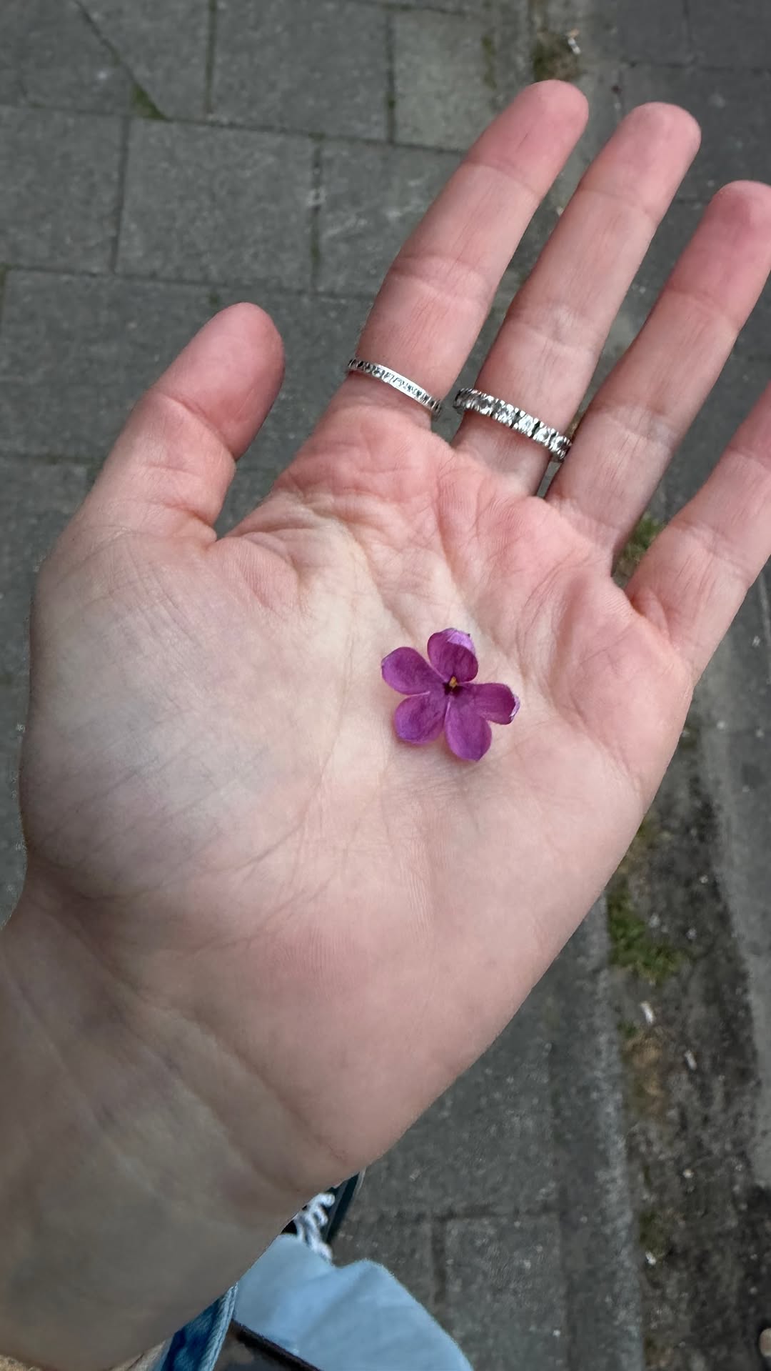 новая фото в сторис @aldidkovskaya 25.04.2026