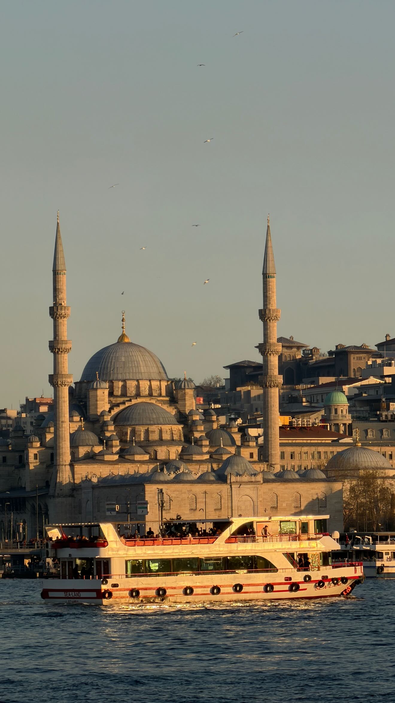 новая фото в сторис @welliup 25.04.2026