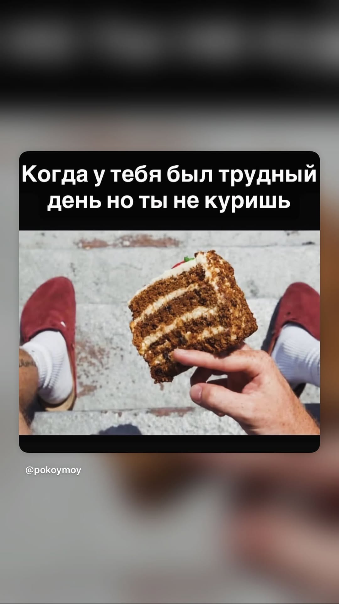 новая фото в сторис @bikova__katerina 25.04.2026