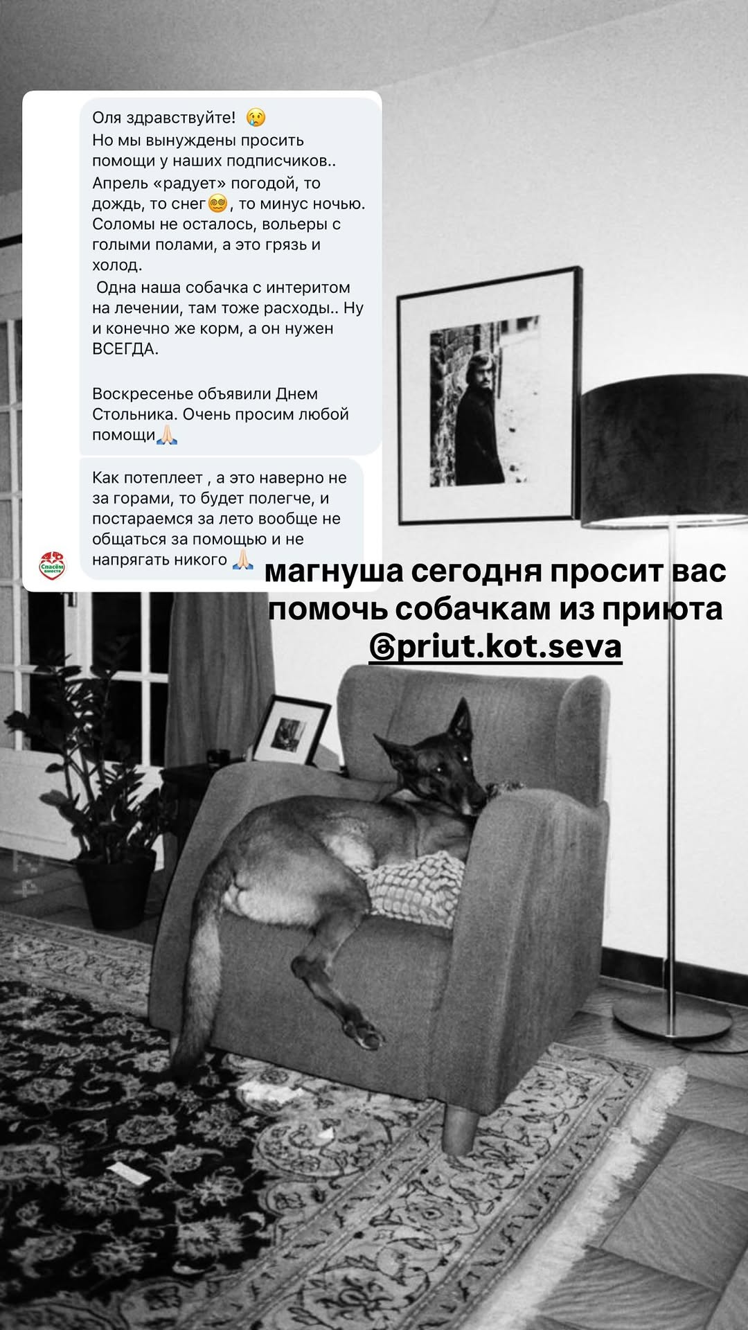 новая фото в сторис @retrogradnymercury 26.04.2026