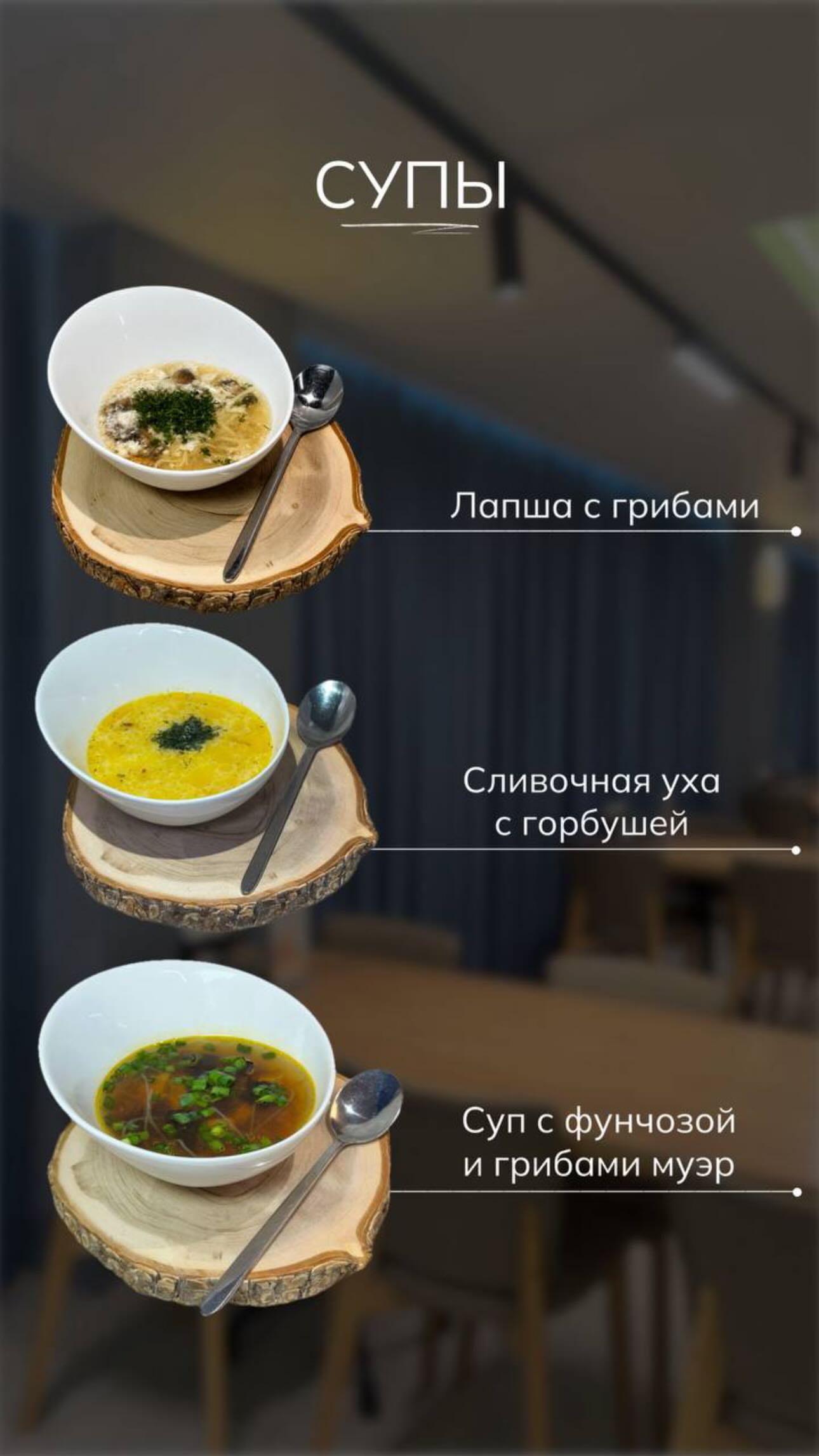 новая фото в сторис @stclub_58 19.05.2026