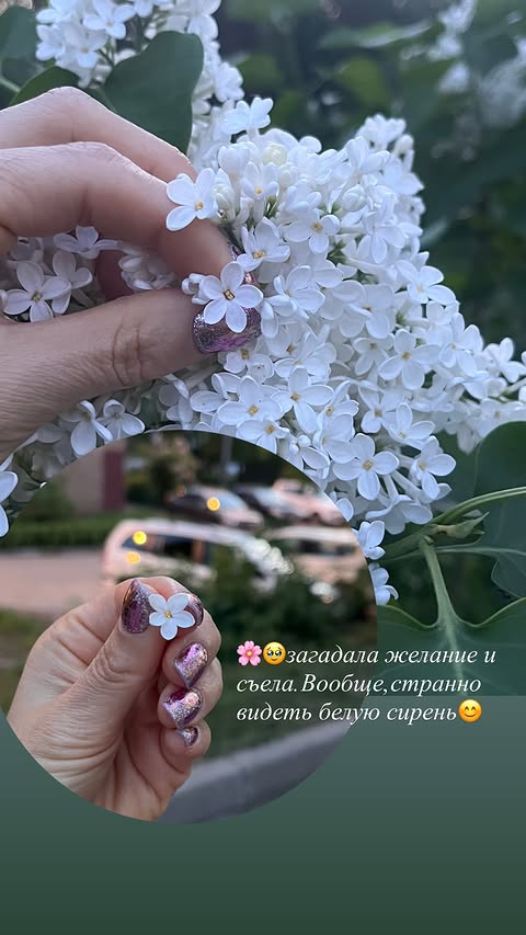 новая фото в сторис @nails_soulflower 19.05.2026