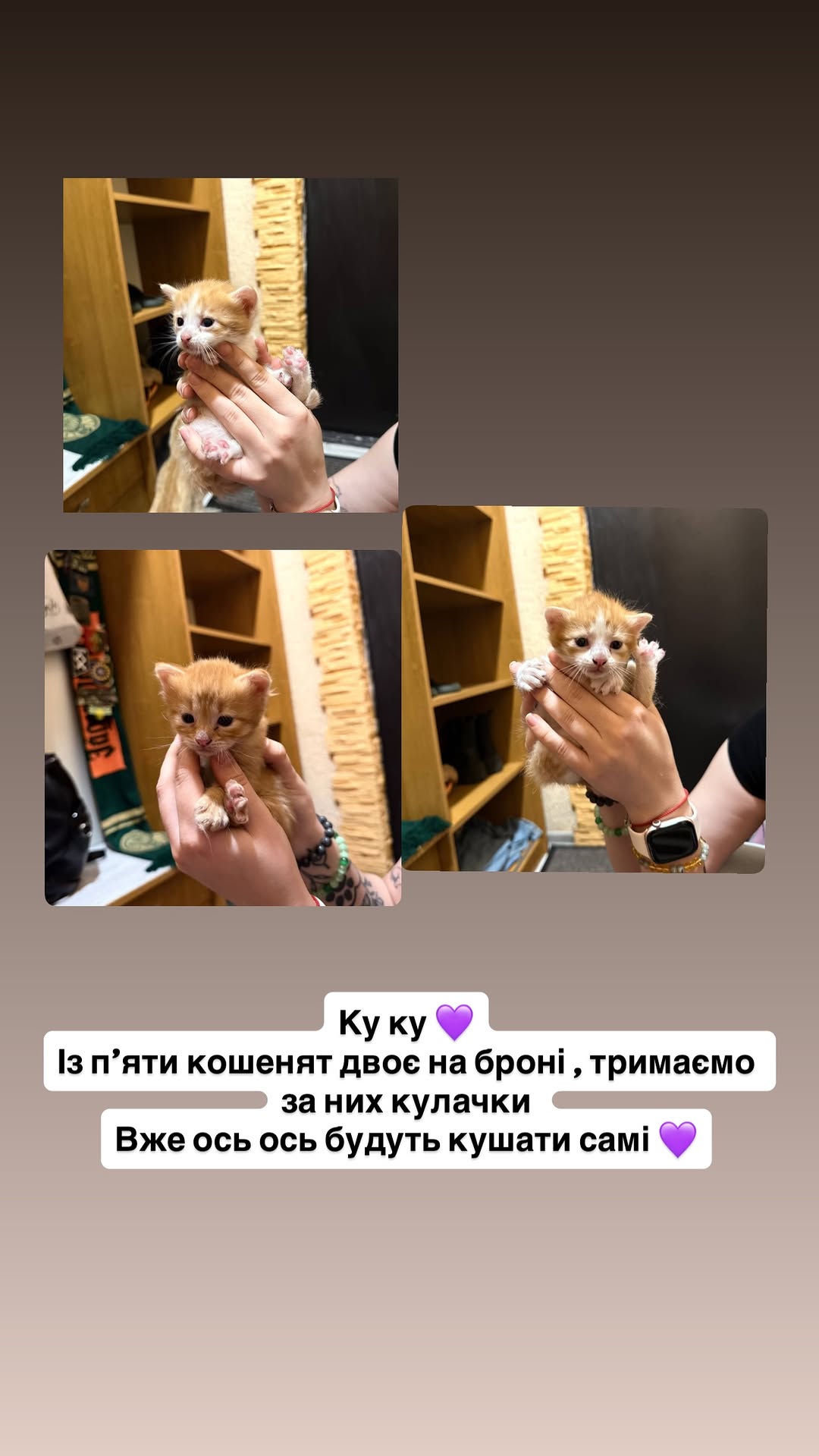 новая фото в сторис @koto_mama_dnipro 20.05.2026