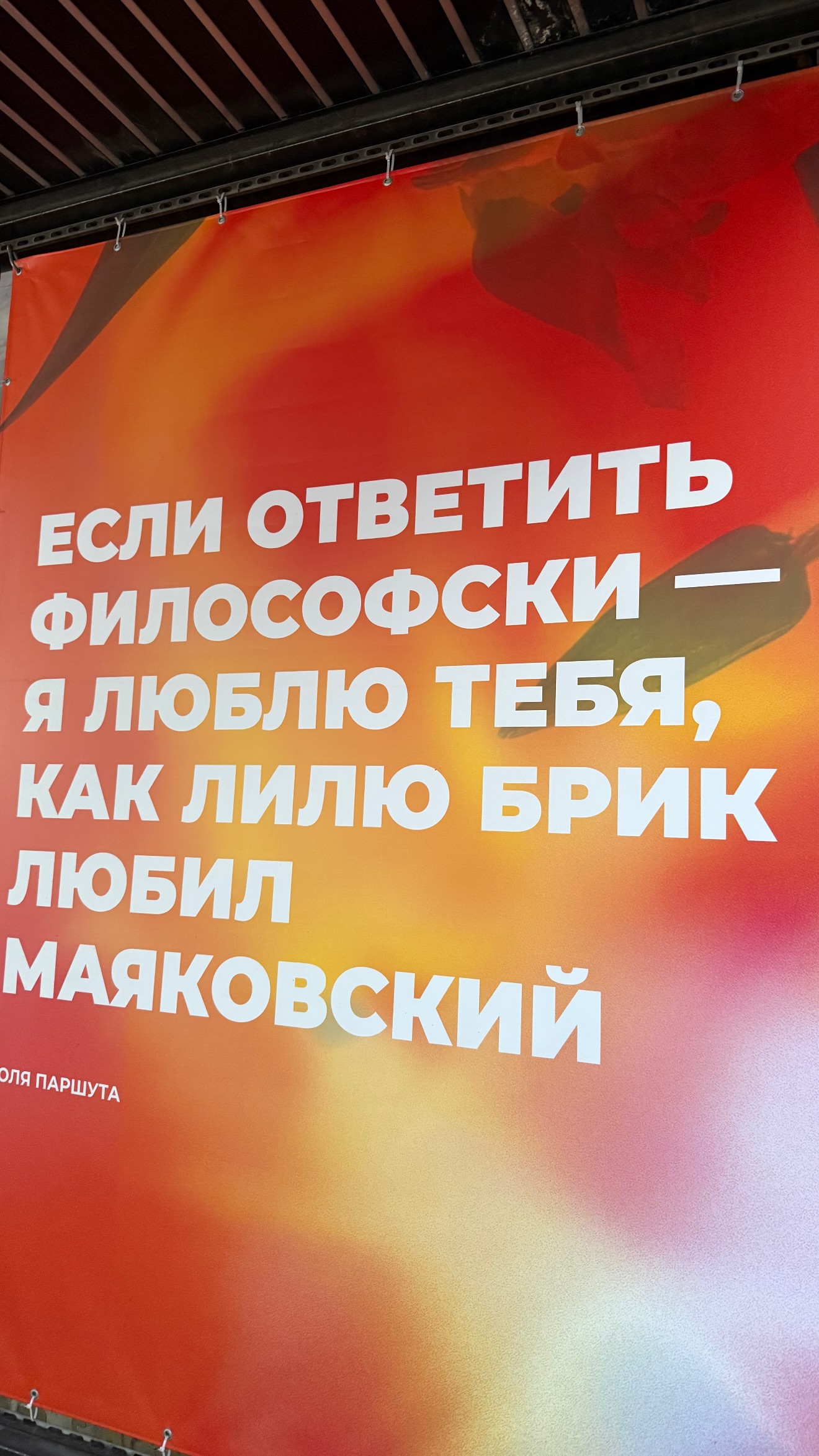 новая фото в сторис @oganova555 25.05.2026