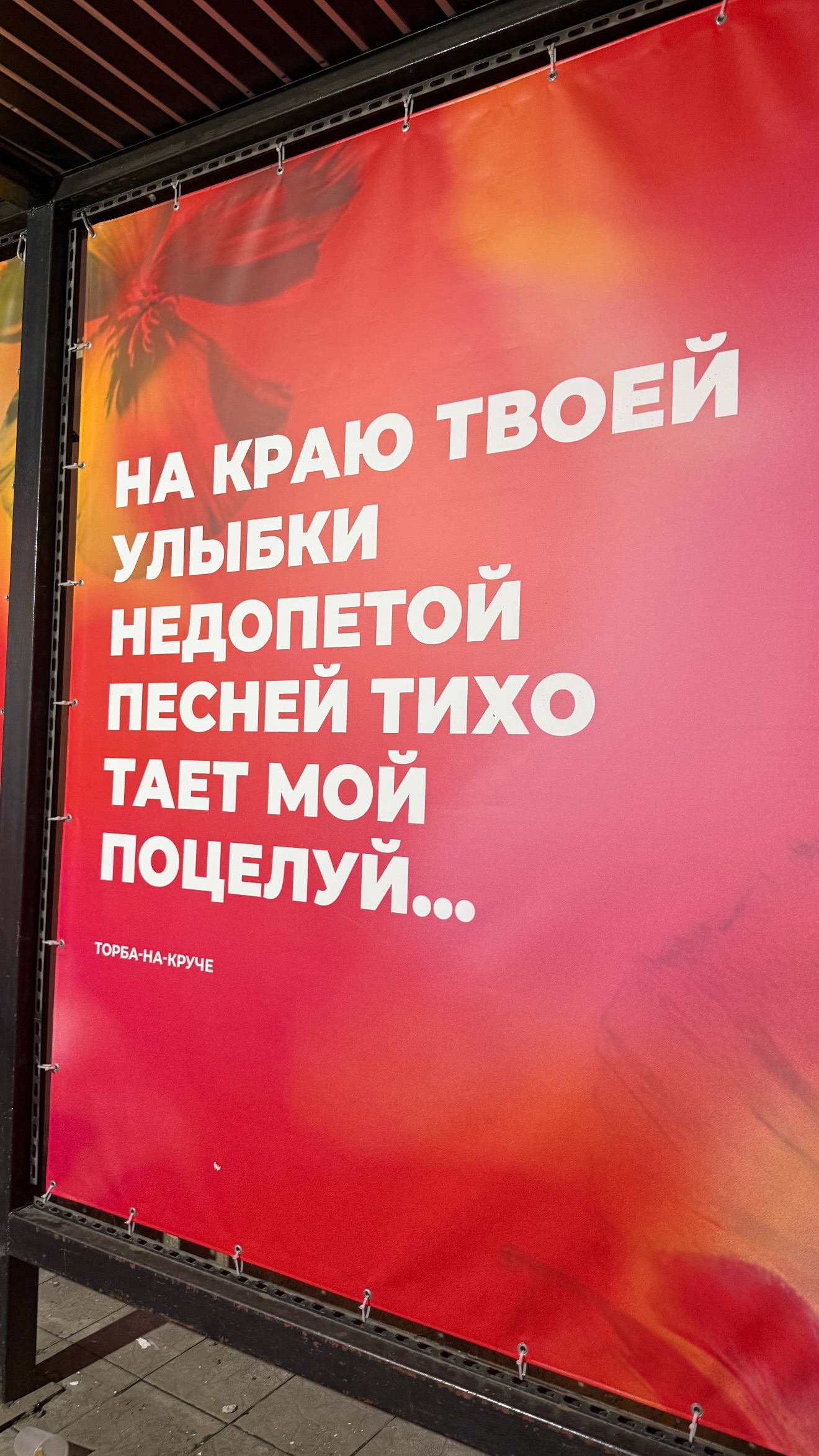 новая фото в сторис @oganova555 25.05.2026