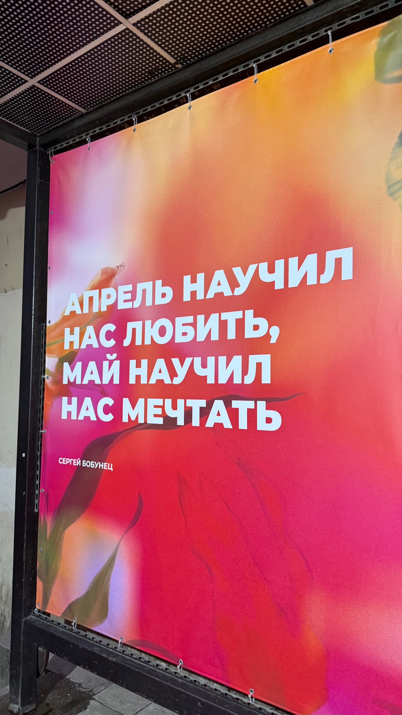 новая фото в сторис @oganova555 25.05.2026