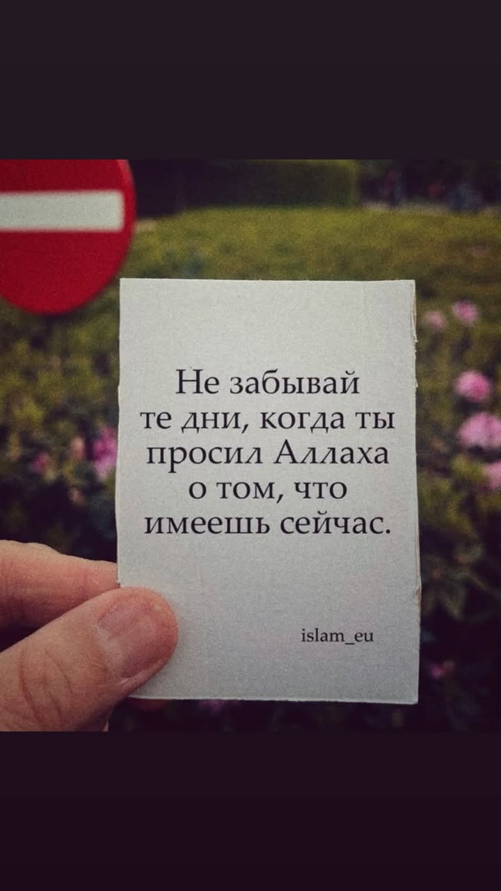 новая фото в сторис @aslan_agzagov 25.05.2026