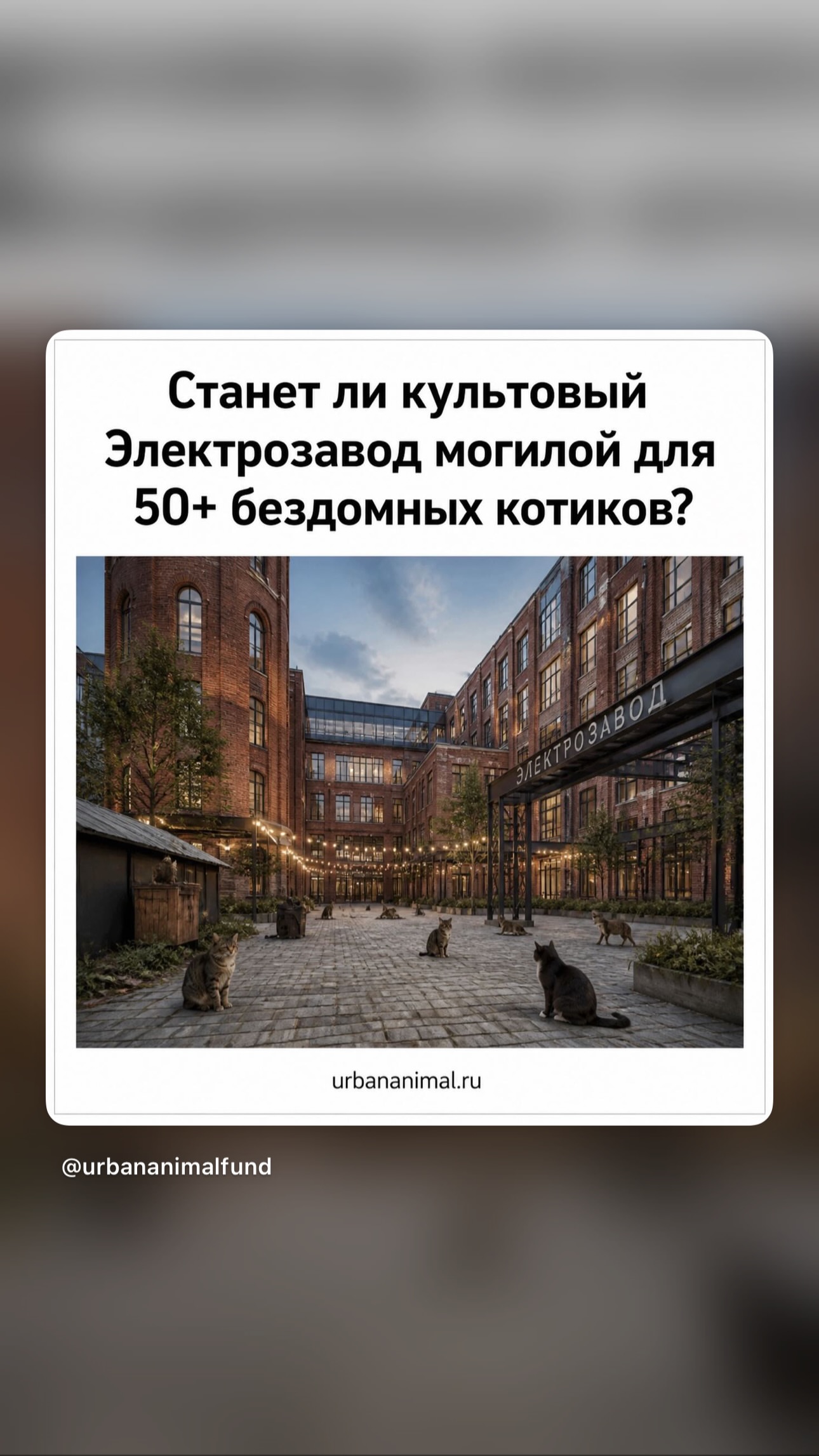 новая фото в сторис @scratchy_rain 26.05.2026