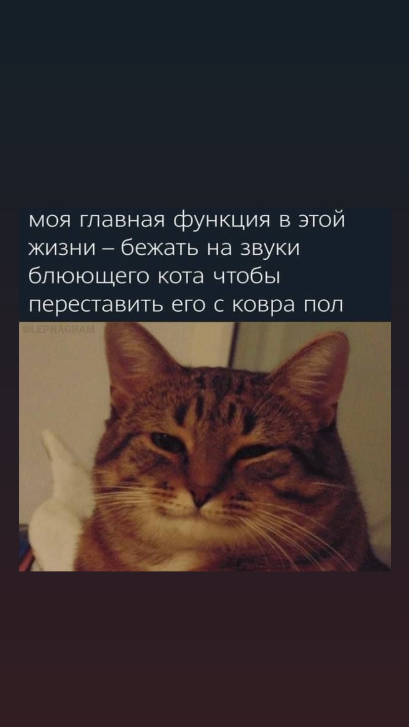 новая фото в сторис @5_facts 26.05.2026