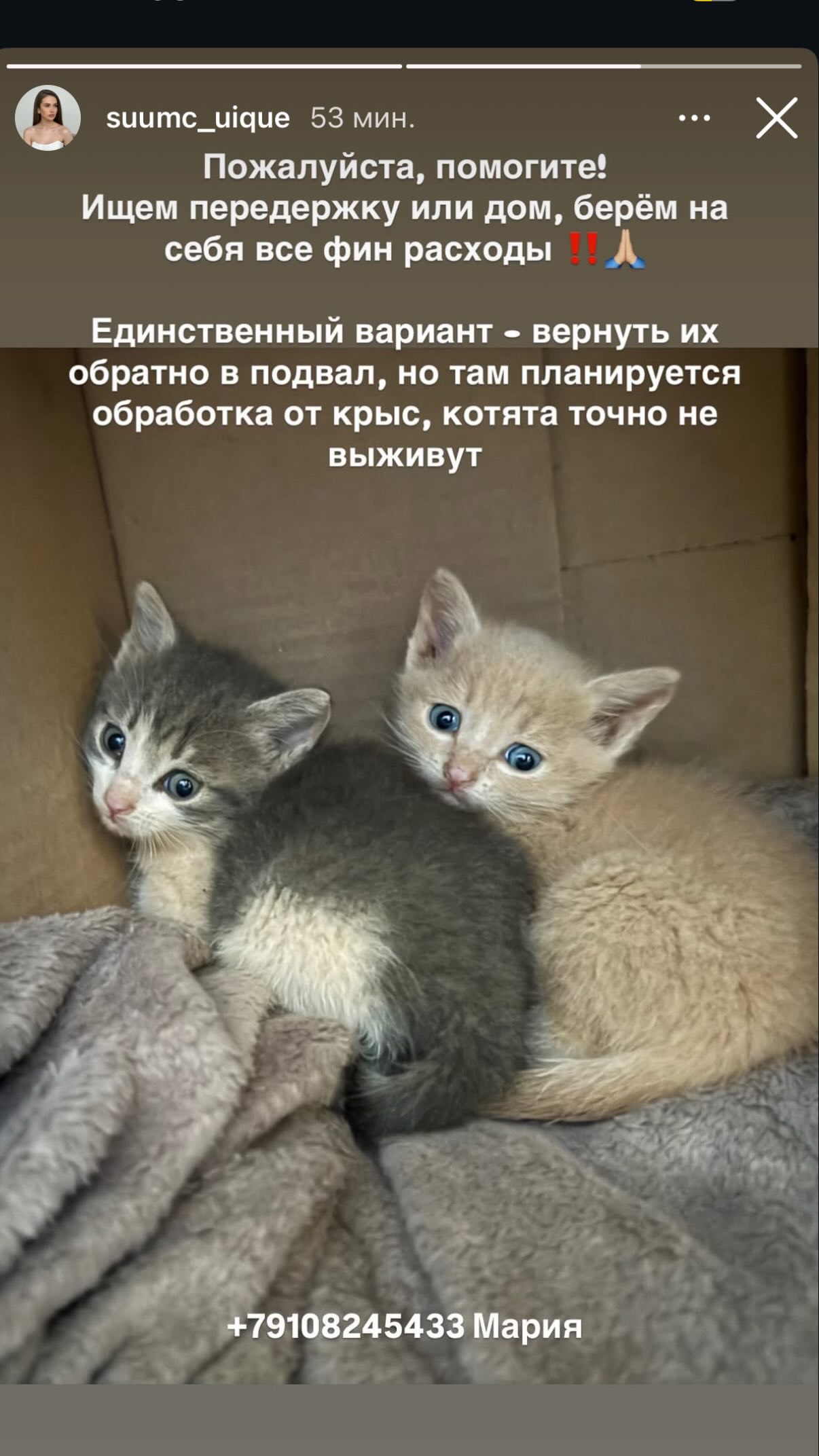 новая фото в сторис @karsakova_alena88 26.05.2026