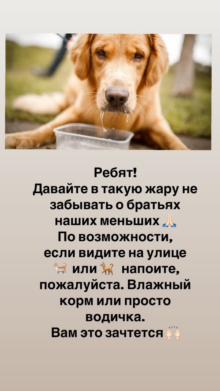 новая фото в сторис @kaaami_____ 27.05.2026