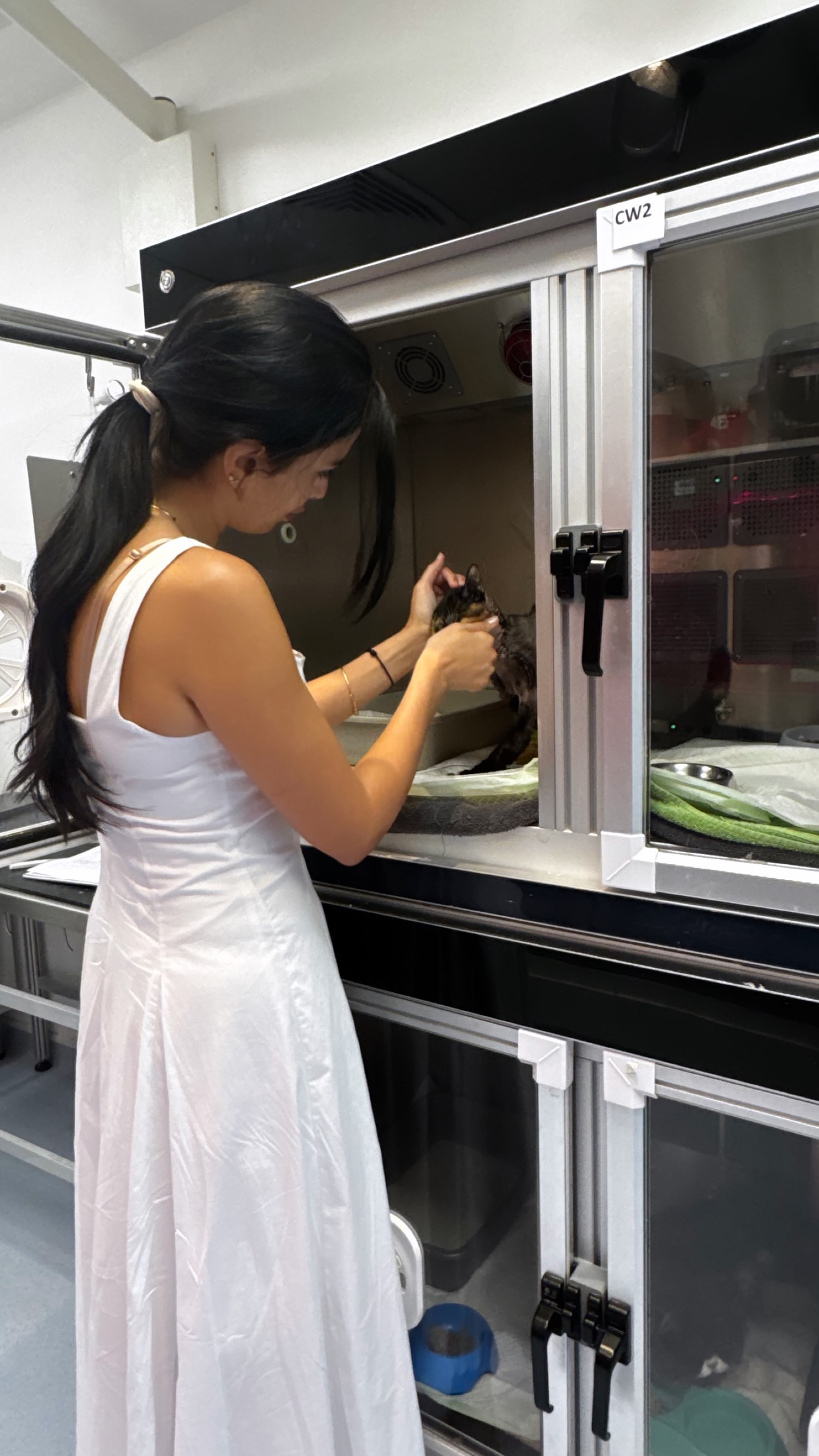 новая фото в сторис @michellahaddad 28.05.2026