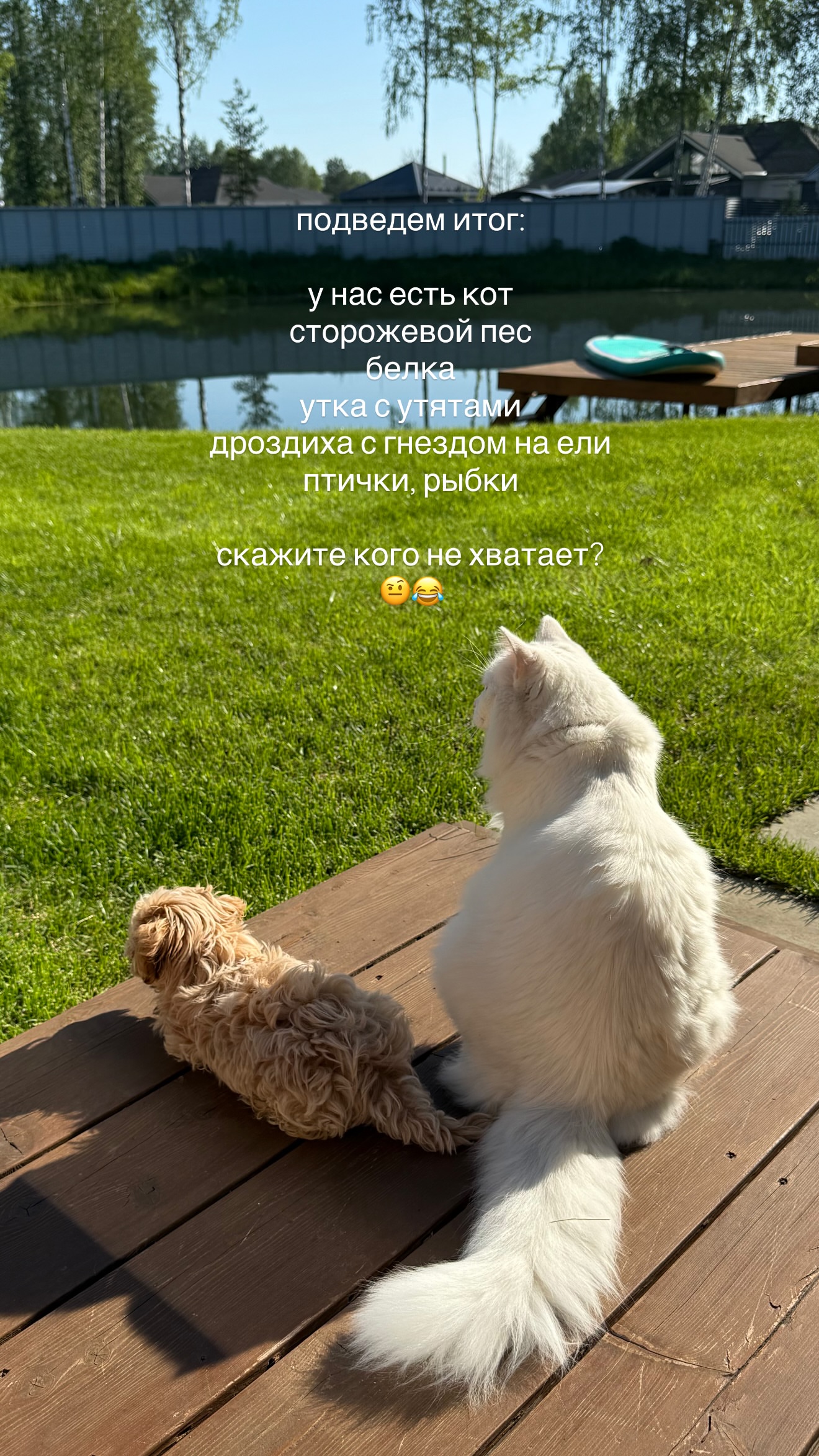 новая фото в сторис @katgladkova 02.06.2026