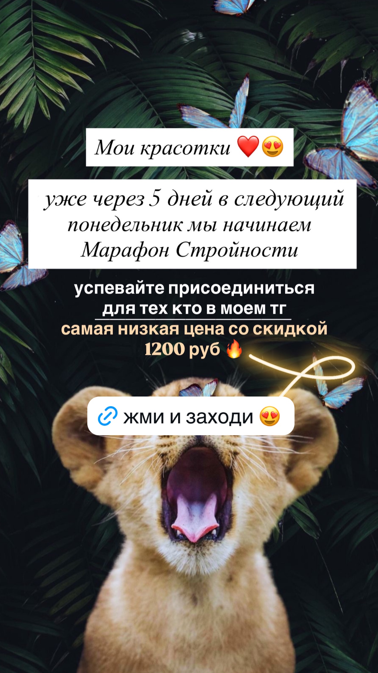 новая фото в сторис @dasha_beautyreporter 02.06.2026