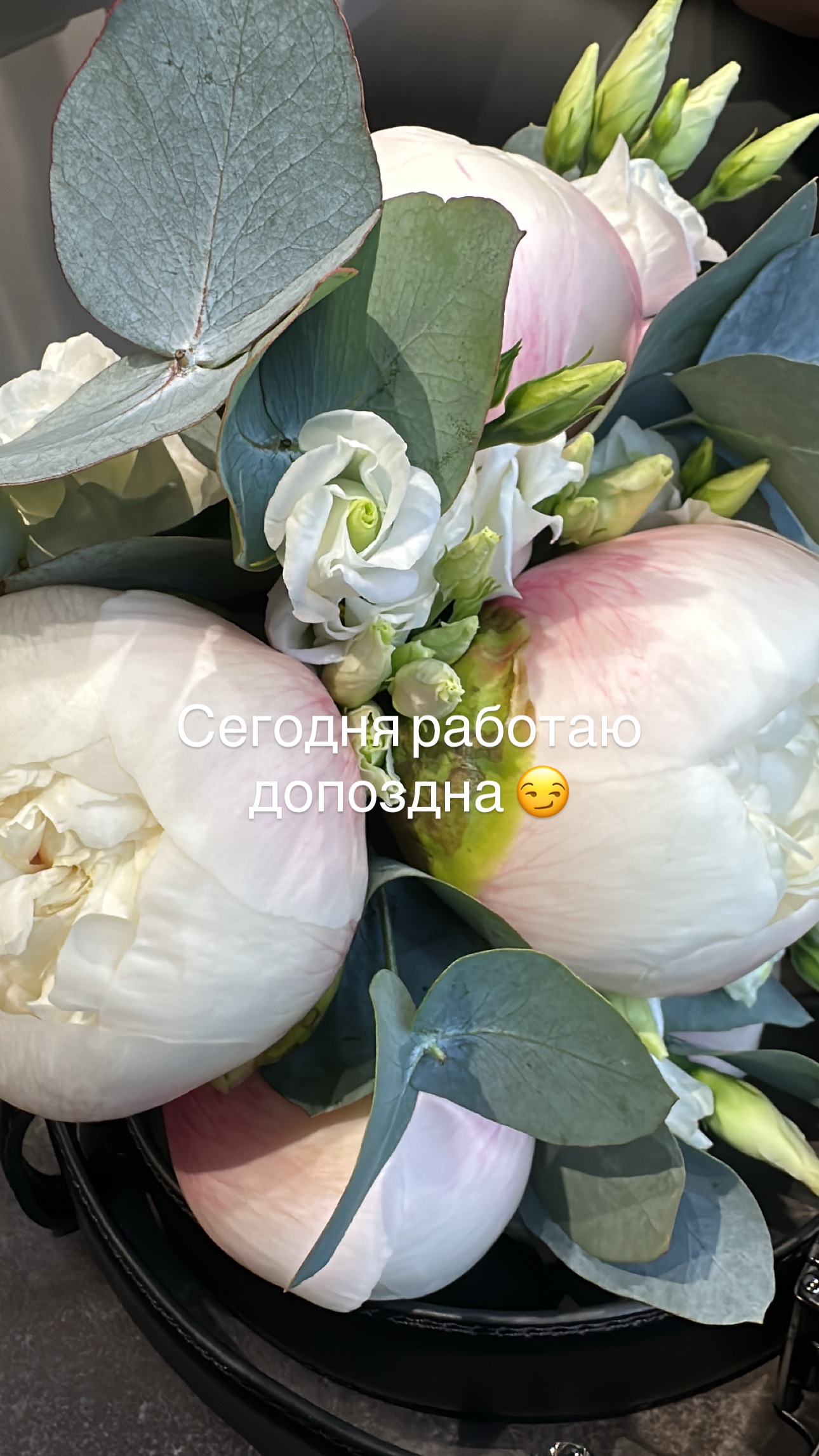 новая фото в сторис @xaliukaganzorig 03.06.2026