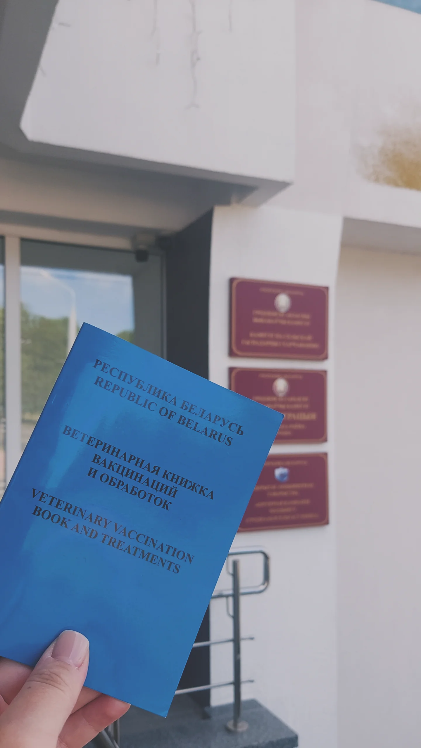 новая фото в сторис @oksidemenchuk 04.06.2026