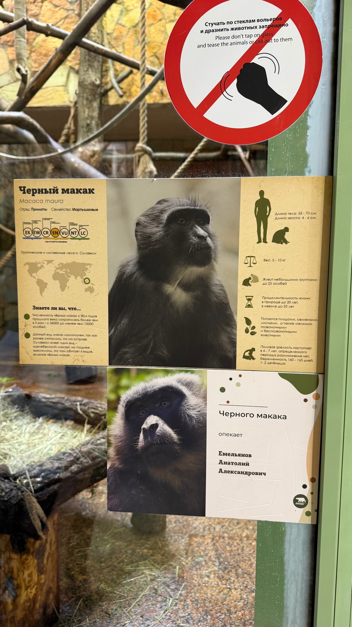 новая фото в сторис @svettru 05.06.2026