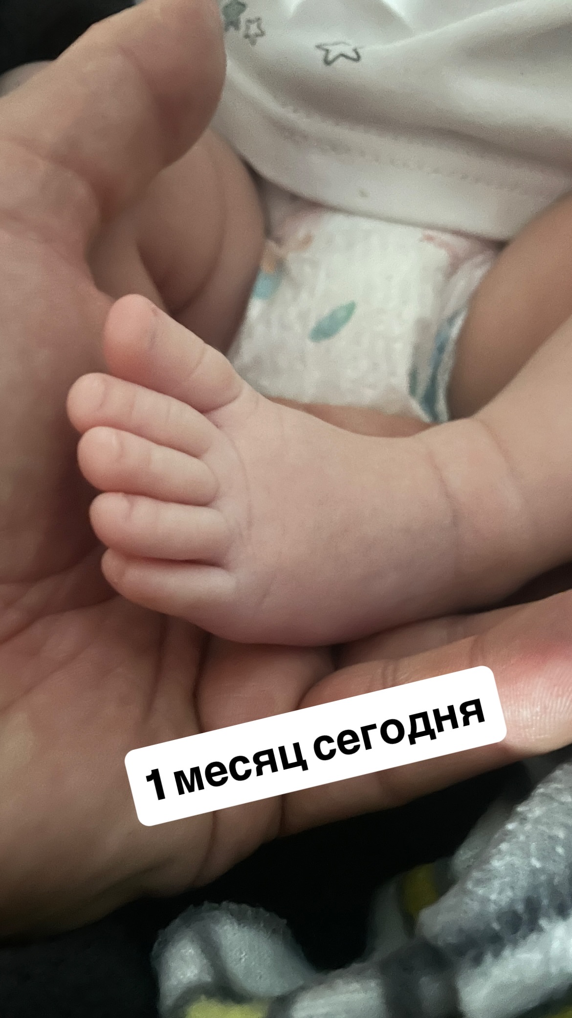 новая фото в сторис @nosov_official 05.06.2026