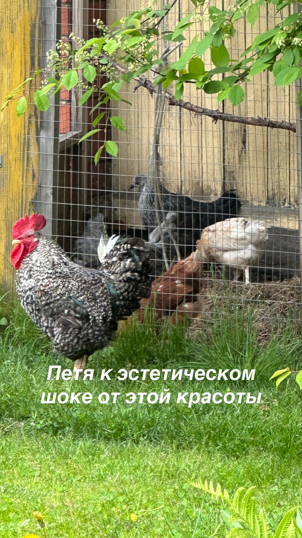 новая фото в сторис @vazuli 11.06.2026