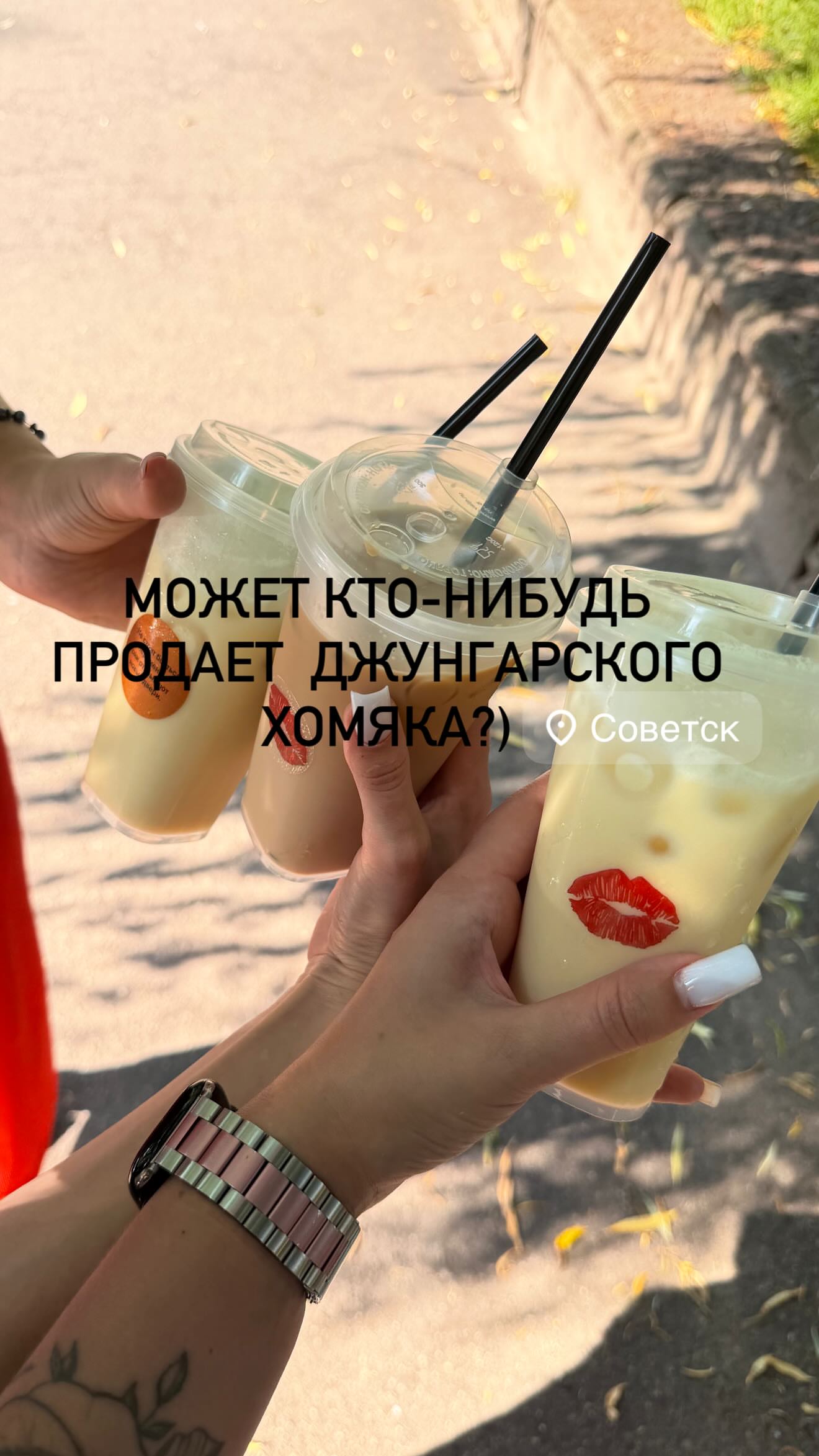 новая фото в сторис @e_isaevaa 24.06.2026