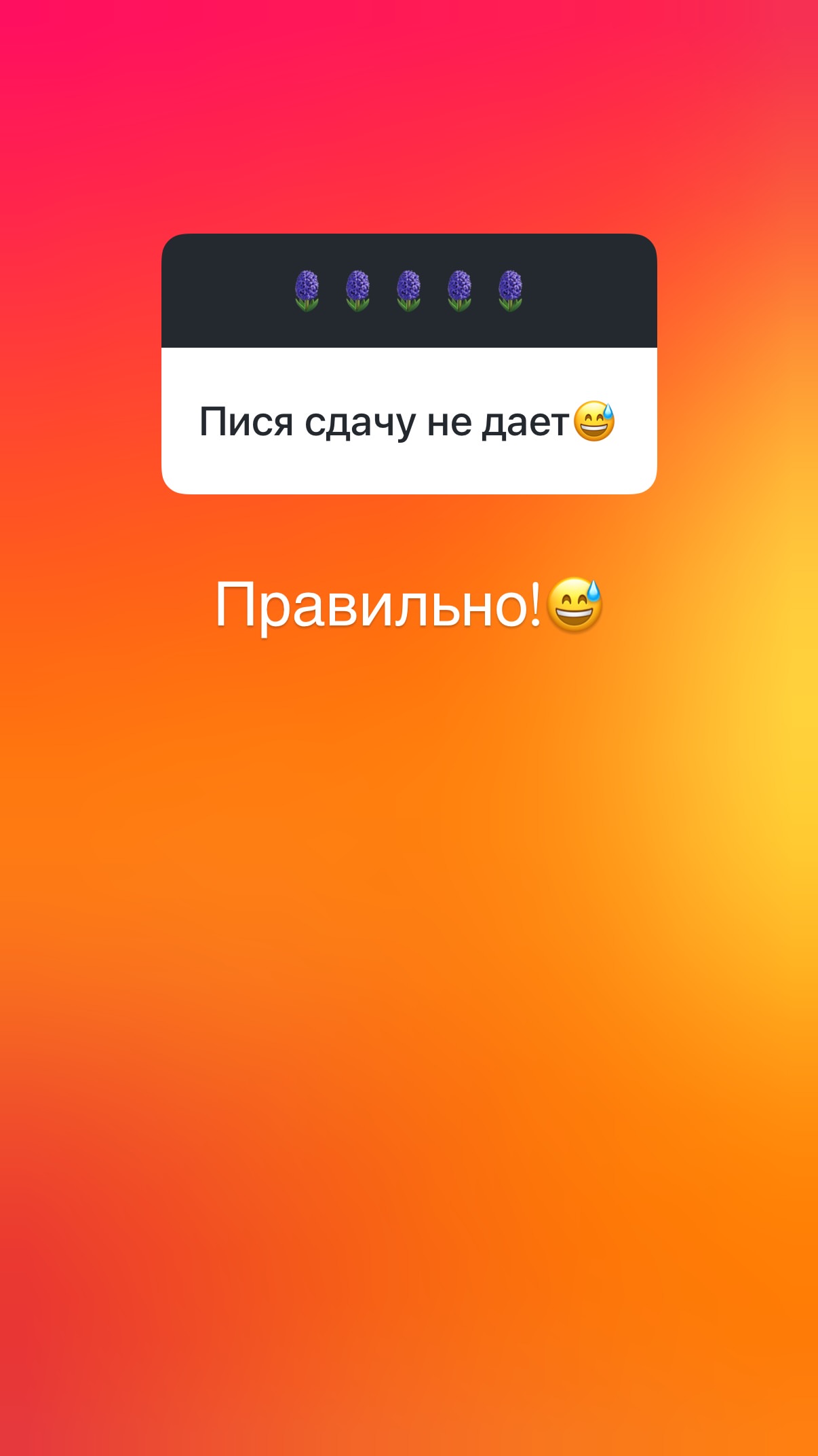 новая фото в сторис @olgaorlova1311 28.06.2026