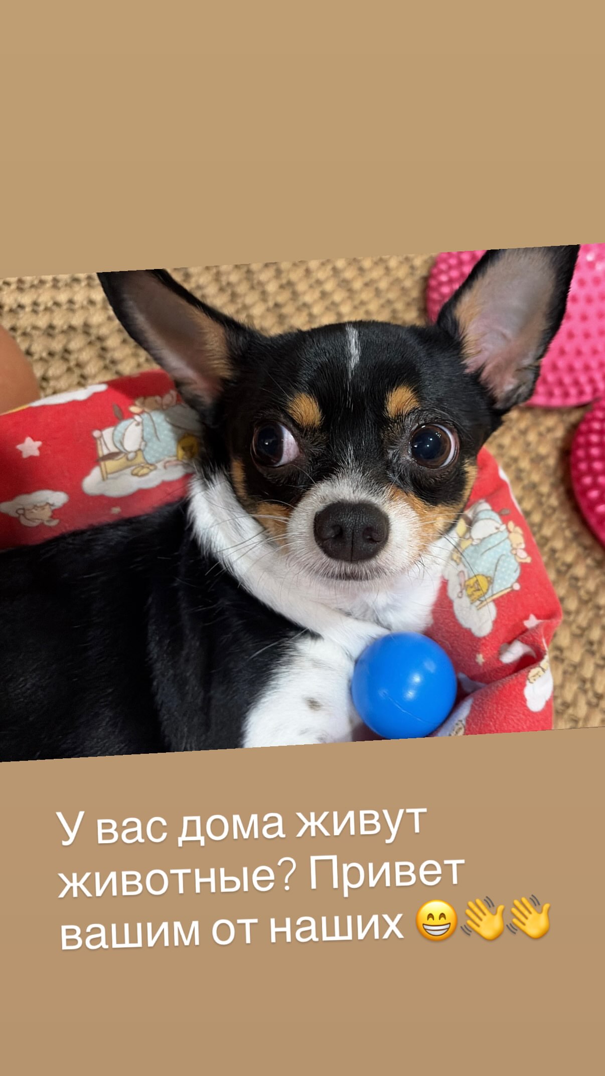 новая фото в сторис @samuiblog 16.07.2026