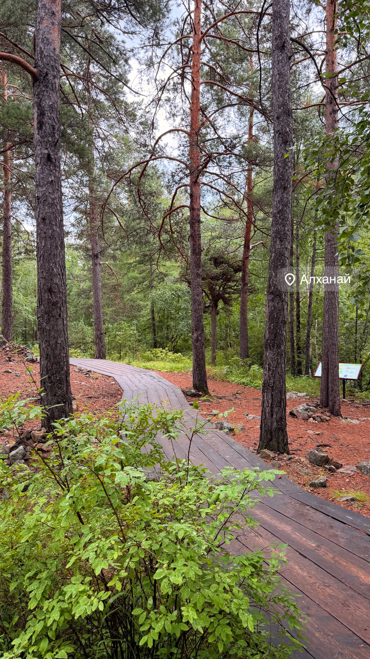 новая фото в сторис @eshishkaa 25.07.2026