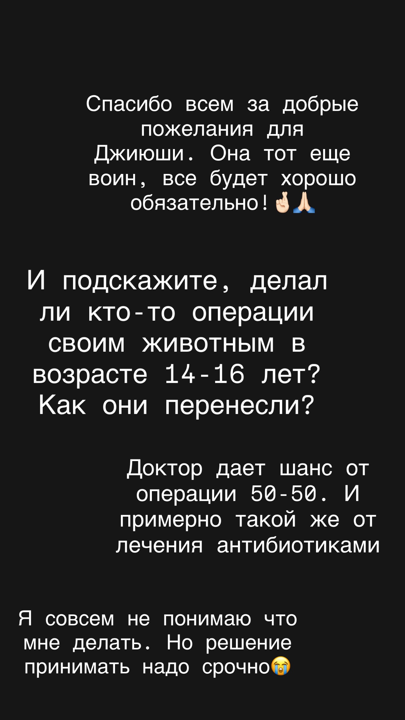 новая фото в сторис @koroleva_vera 29.07.2026