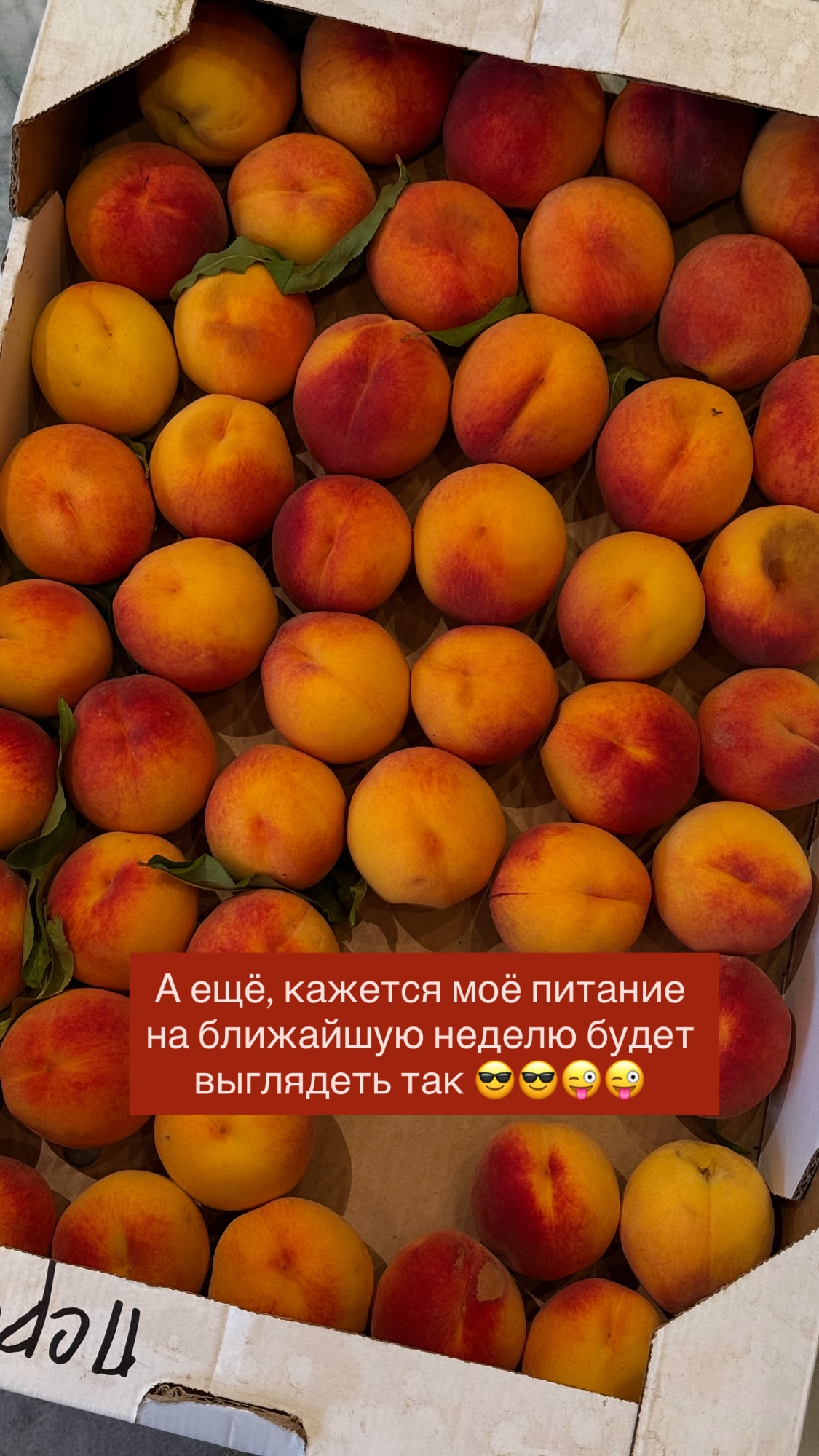 новая фото в сторис @anfisavist 31.07.2026