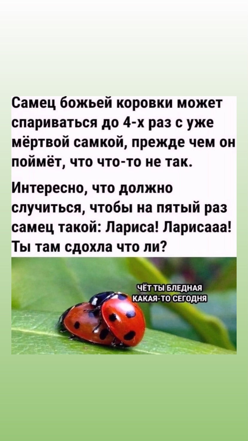 новая фото в сторис @5_facts 01.08.2026