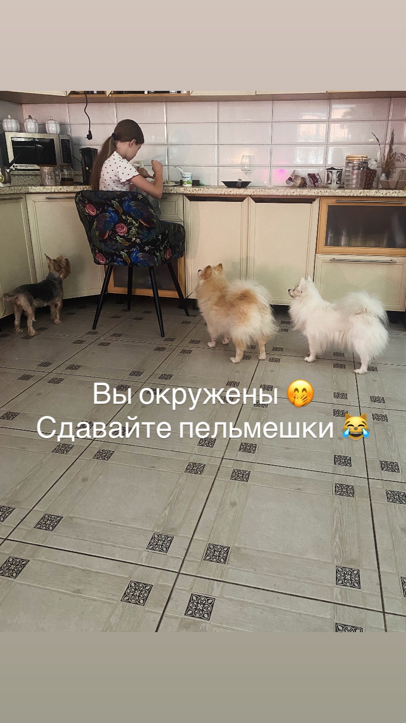 новая фото в сторис @osenolesya 01.08.2026