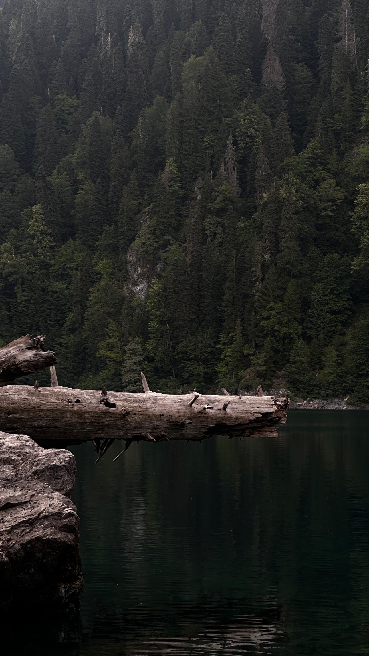 новая фото в сторис @___p13 20.08.2026