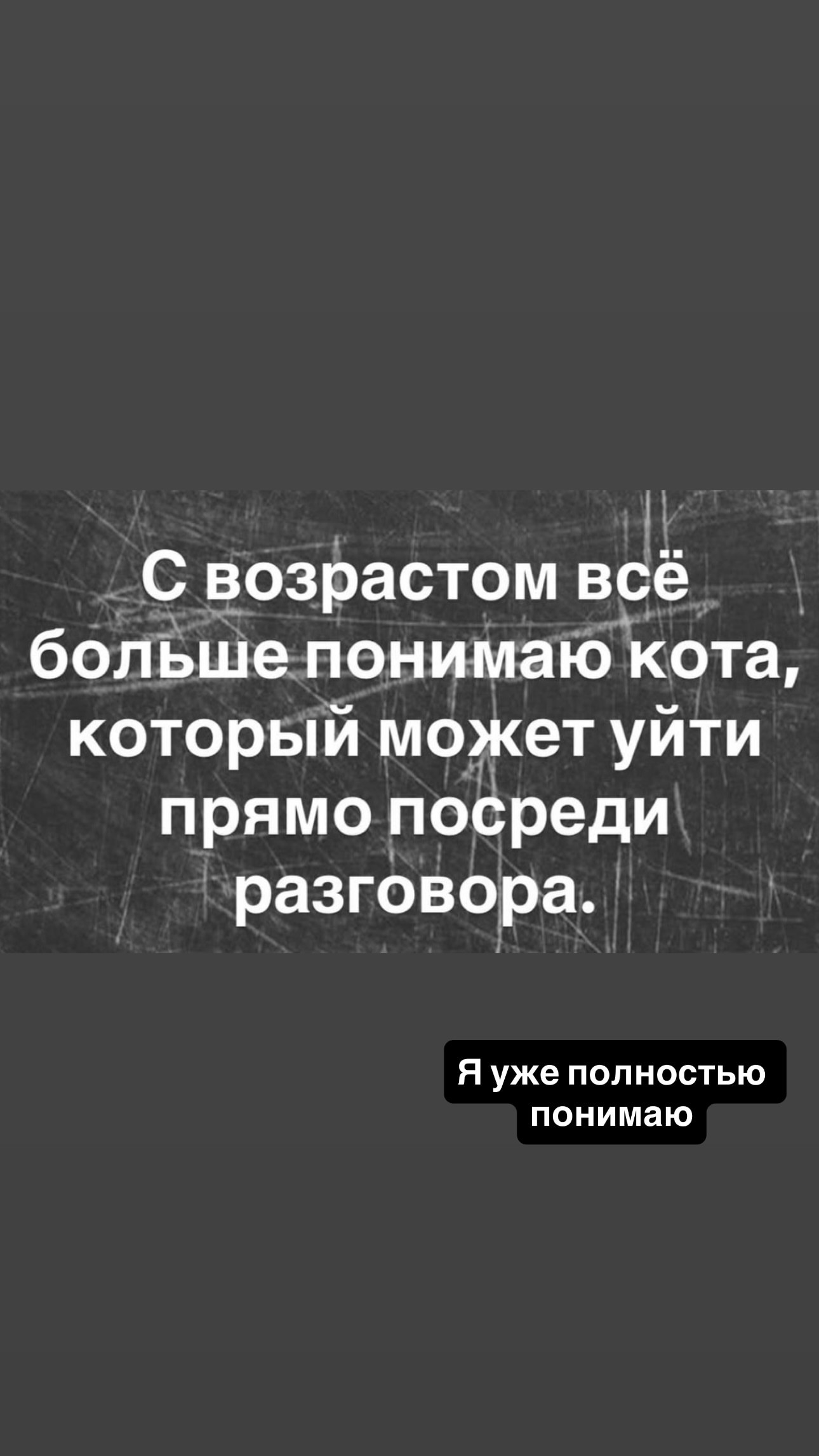 новая фото в сторис @perepi4ko 21.08.2026